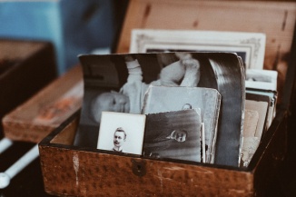 Family - Article Three